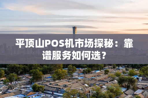 平顶山POS机市场探秘：靠谱服务如何选？