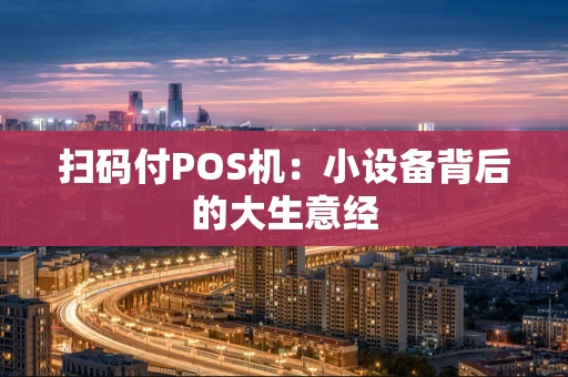 扫码付POS机：小设备背后的大生意经