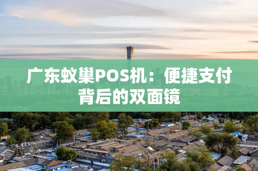 广东蚁巢POS机：便捷支付背后的双面镜