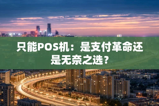 只能POS机：是支付革命还是无奈之选？