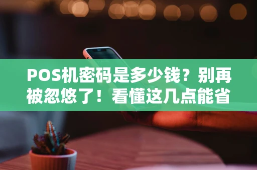 POS机密码是多少钱？别再被忽悠了！看懂这几点能省不少钱