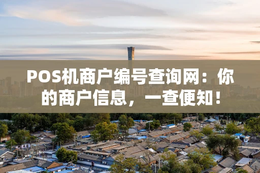 POS机商户编号查询网：你的商户信息，一查便知！