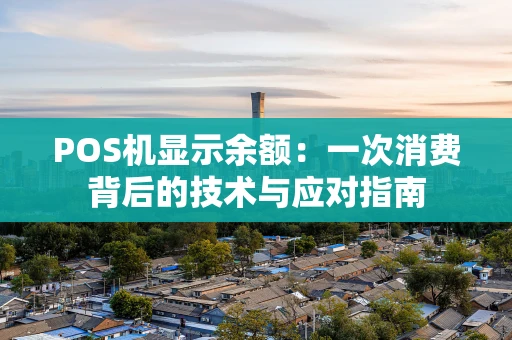 POS机显示余额：一次消费背后的技术与应对指南
