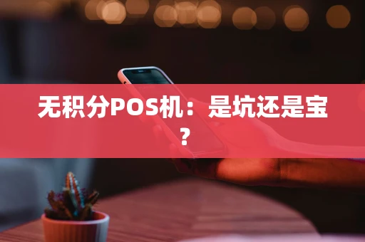 无积分POS机：是坑还是宝？