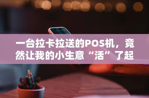 一台拉卡拉送的POS机，竟然让我的小生意“活”了起来