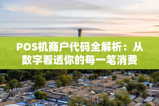 POS机商户代码全解析：从数字看透你的每一笔消费