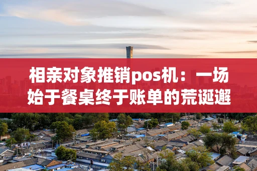 相亲对象推销pos机：一场始于餐桌终于账单的荒诞邂逅