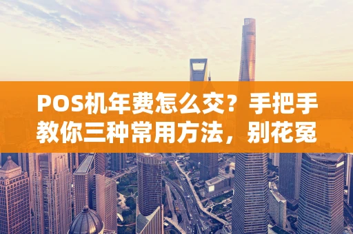 POS机年费怎么交？手把手教你三种常用方法，别花冤枉钱！
