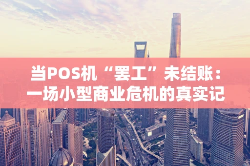 当POS机“罢工”未结账：一场小型商业危机的真实记录