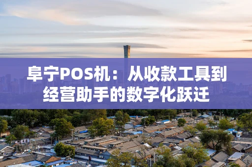 阜宁POS机：从收款工具到经营助手的数字化跃迁
