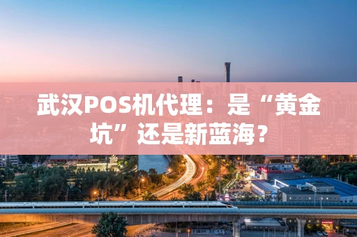 武汉POS机代理：是“黄金坑”还是新蓝海？