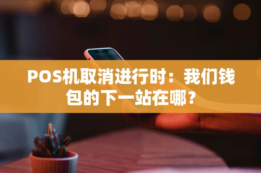 POS机取消进行时：我们钱包的下一站在哪？