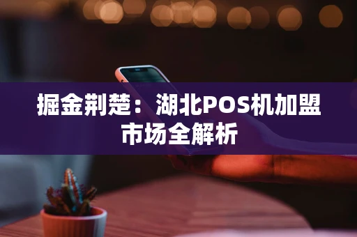 掘金荆楚：湖北POS机加盟市场全解析