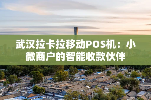 武汉拉卡拉移动POS机：小微商户的智能收款伙伴