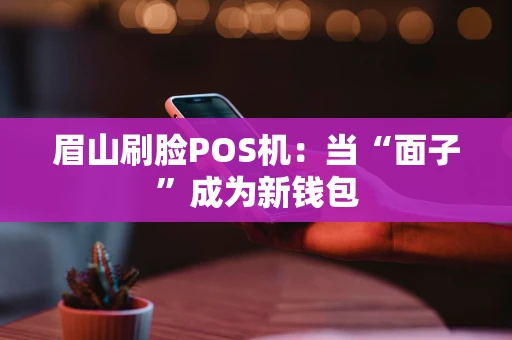 眉山刷脸POS机：当“面子”成为新钱包