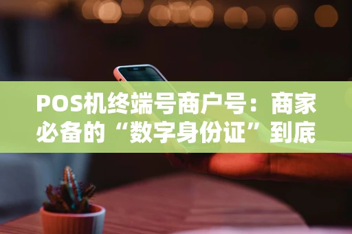 POS机终端号商户号：商家必备的“数字身份证”到底有啥用？