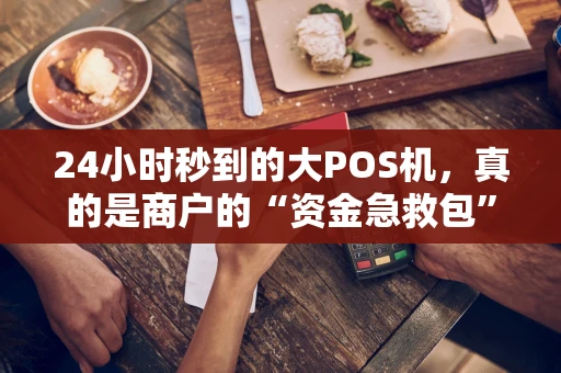 24小时秒到的大POS机，真的是商户的“资金急救包”吗？