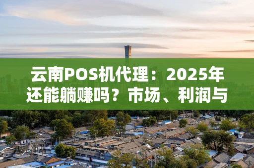 云南POS机代理：2025年还能躺赚吗？市场、利润与前景全透视