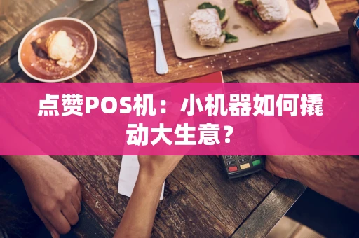 点赞POS机：小机器如何撬动大生意？