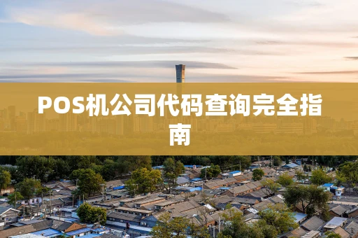 POS机公司代码查询完全指南