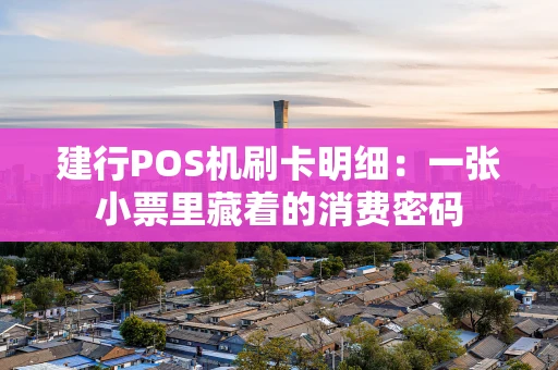 建行POS机刷卡明细：一张小票里藏着的消费密码