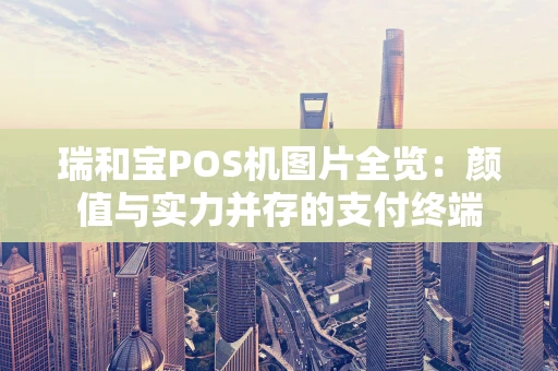瑞和宝POS机图片全览：颜值与实力并存的支付终端