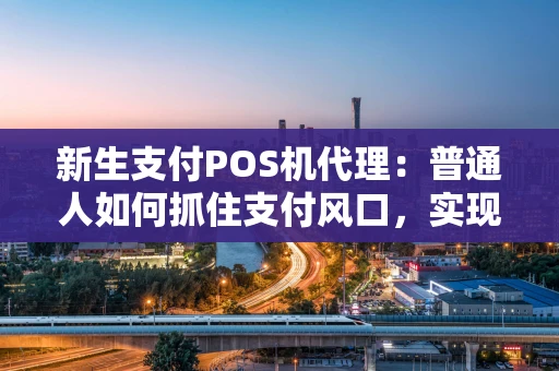新生支付POS机代理：普通人如何抓住支付风口，实现稳定增收？