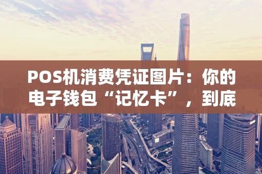 POS机消费凭证图片：你的电子钱包“记忆卡”，到底有多重要？
