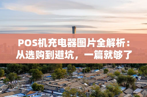 POS机充电器图片全解析：从选购到避坑，一篇就够了！