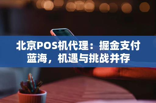 北京POS机代理：掘金支付蓝海，机遇与挑战并存