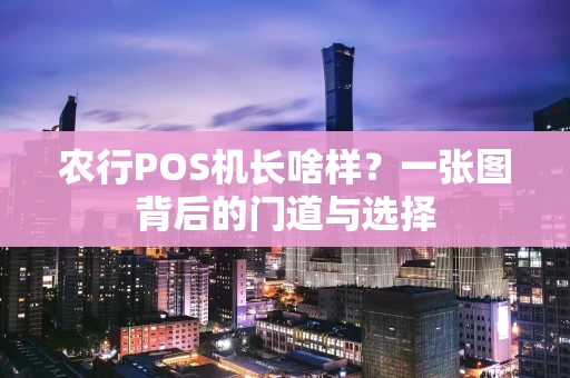 农行POS机长啥样？一张图背后的门道与选择