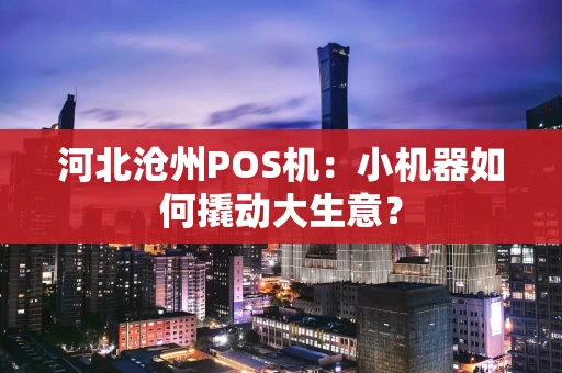 河北沧州POS机：小机器如何撬动大生意？