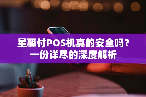 星驿付POS机真的安全吗？一份详尽的深度解析