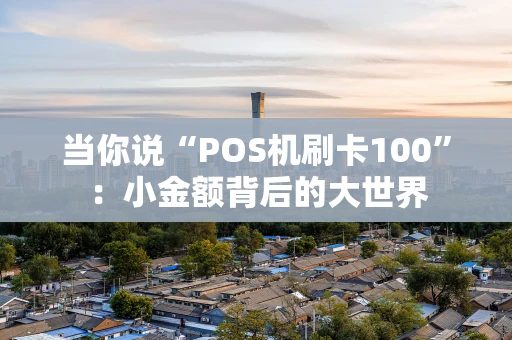 当你说“POS机刷卡100”：小金额背后的大世界