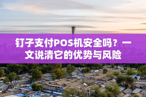 钉子支付POS机安全吗？一文说清它的优势与风险
