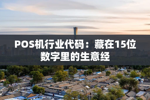 POS机行业代码：藏在15位数字里的生意经