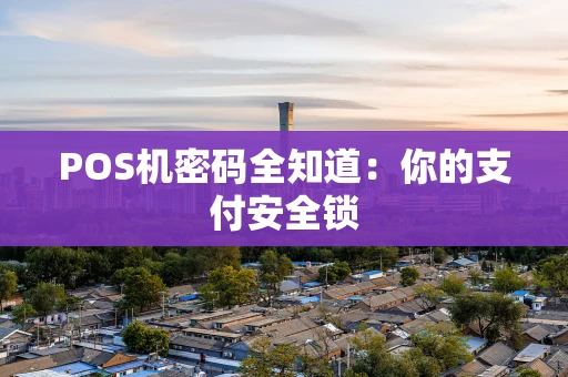 POS机密码全知道：你的支付安全锁