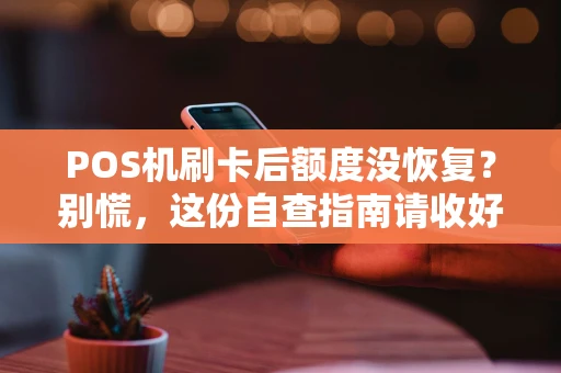 POS机刷卡后额度没恢复？别慌，这份自查指南请收好