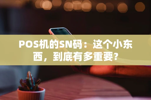 POS机的SN码:这个小东西,到底有多重要? POS机的SN码:这个小东西,到底有多重要?
