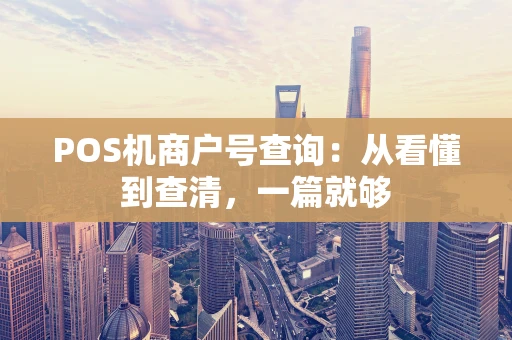 POS机商户号查询:从看懂到查清,一篇就够 POS机商户号查询:从看懂到查清,一篇就够