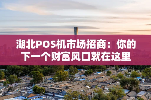 湖北POS机市场招商:你的下一个财富风口就在这里 湖北POS机市场招商:你的下一个财富风口就在这里