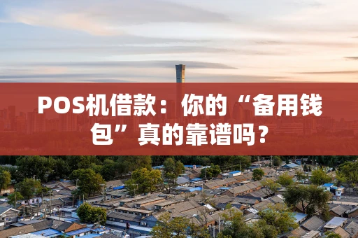POS机借款:你的“备用钱包”真的靠谱吗? POS机借款:你的“备用钱包”真的靠谱吗?