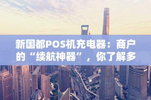 新国都POS机充电器:商户的“续航神器”,你了解多少? 新国都POS机充电器:商户的“续航神器”,你了解多少?