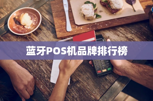 蓝牙POS机品牌排行榜 蓝牙POS机品牌排行榜