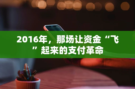 2016年,那场让资金“飞”起来的支付革命 2016年,那场让资金“飞”起来的支付革命