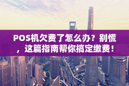 POS机欠费了怎么办？别慌，这篇指南帮你搞定缴费！