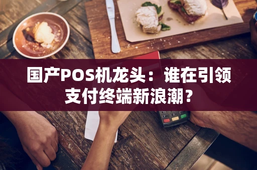 国产POS机龙头：谁在引领支付终端新浪潮？