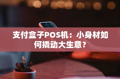 支付盒子POS机：小身材如何撬动大生意？
