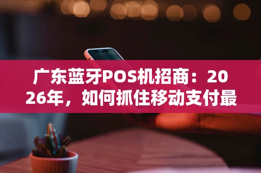 广东蓝牙POS机招商：2026年，如何抓住移动支付最后一波红利？
