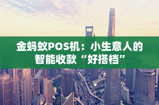 金蚂蚁POS机：小生意人的智能收款“好搭档”